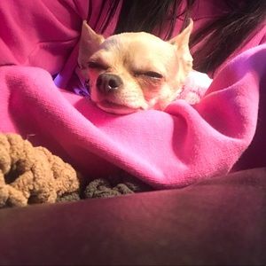 Meet your Posher, Alysha